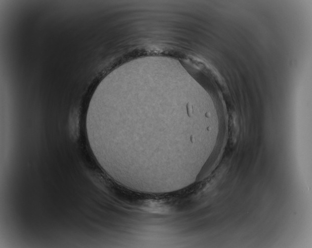 X0000087750496200705291036