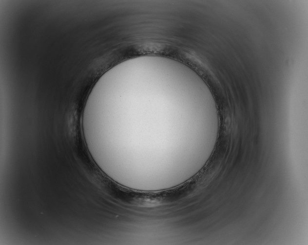 X0000087750498200705291036