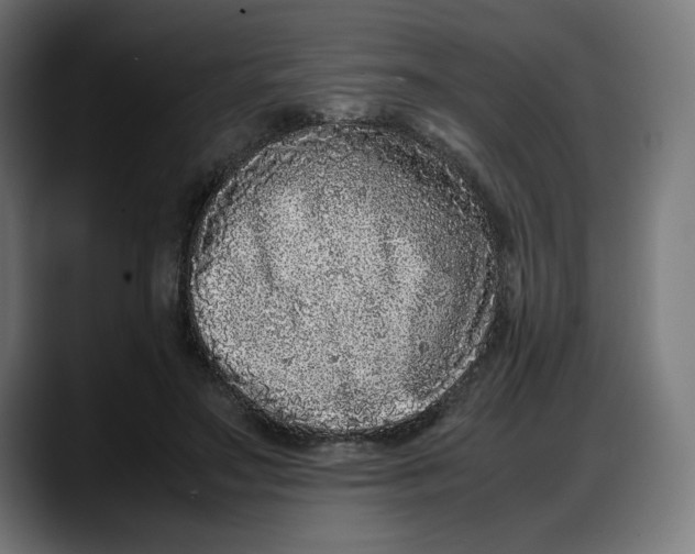 X0000087750499200705291036