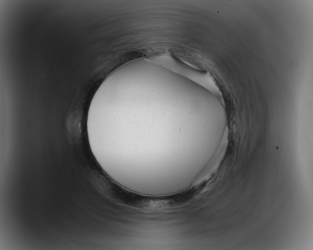 X0000087750501200705291036