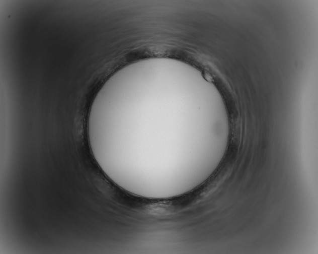 X0000087750505200705291036