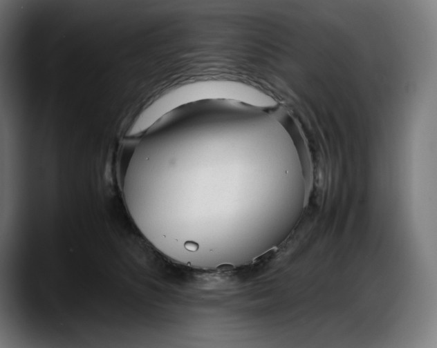 X0000087750516200705291036