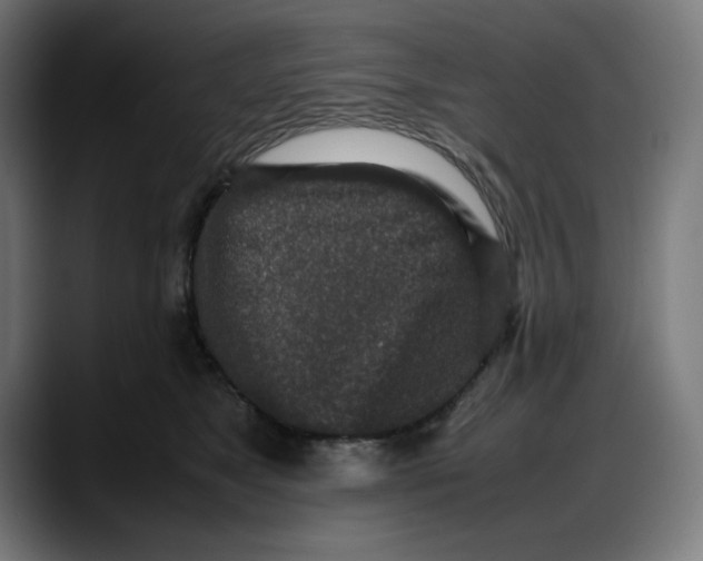 X0000087750517200705291036