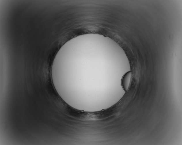 X0000087750518200705291036