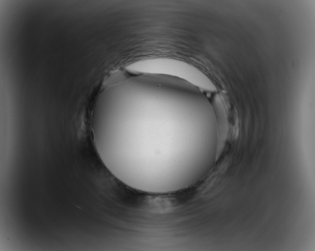 X0000087750520200705291036