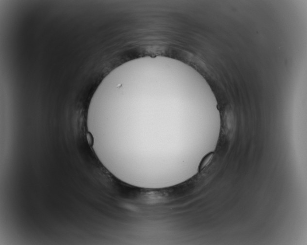 X0000087750522200705291036