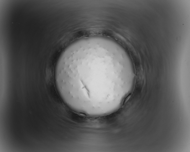 X0000087750523200705291036