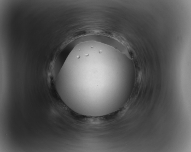 X0000087750524200705291036