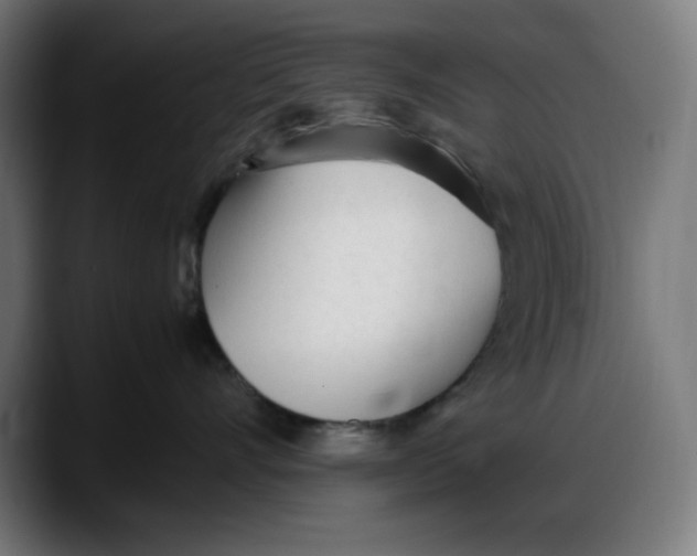 X0000087750528200705291036