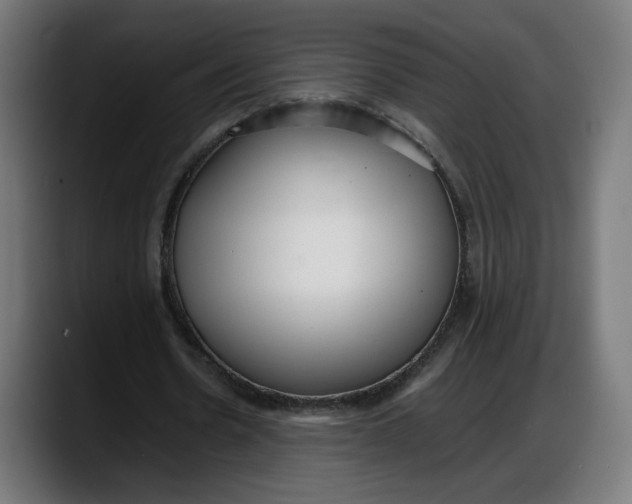 X0000087750530200705291035