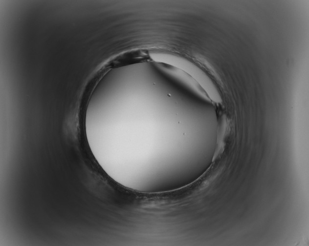 X0000087750532200705291035