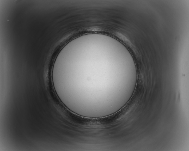 X0000087750535200705291035