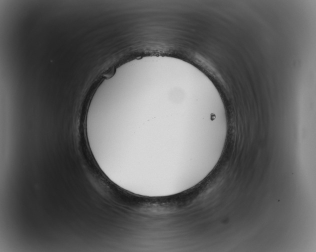 X0000087750538200705291035