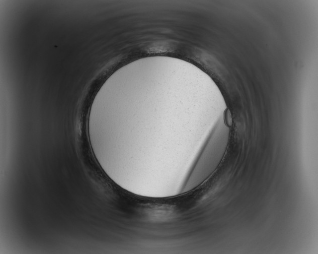 X0000087750539200705291035