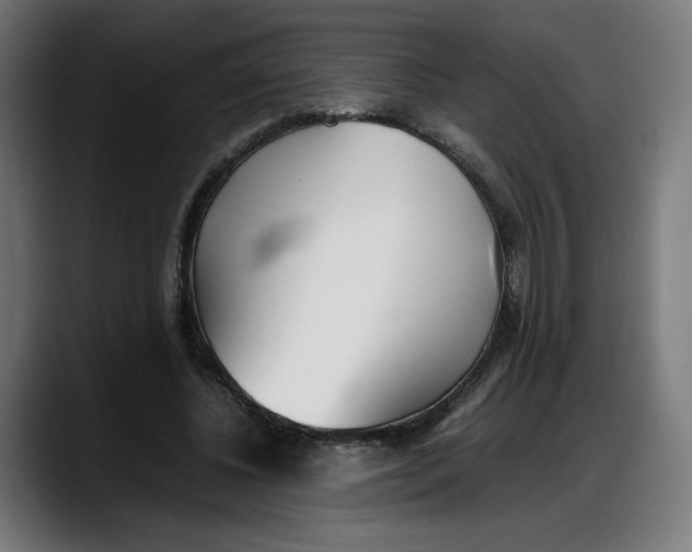 X0000087750540200705291035