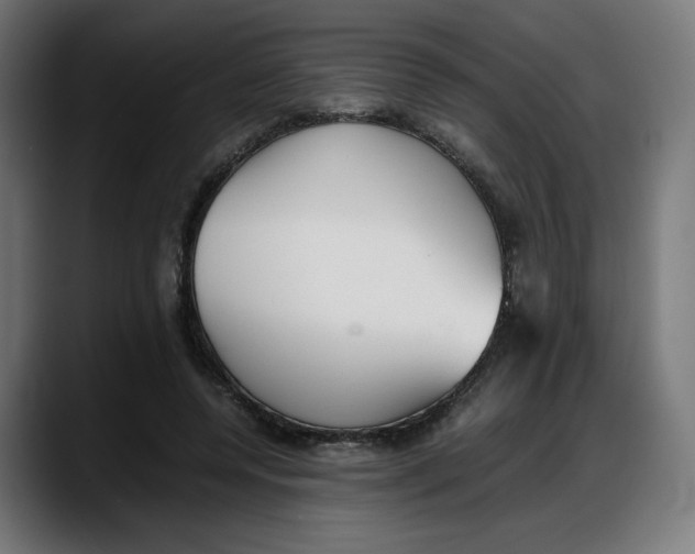 X0000087750544200705291035