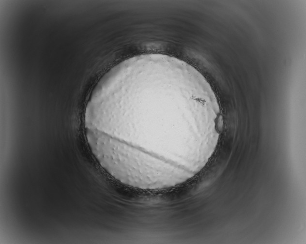 X0000087750545200705291035