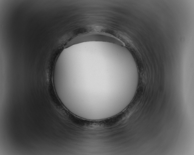 X0000087750546200705291035