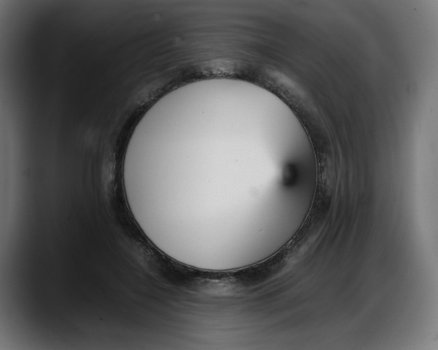 X0000087750548200705291035