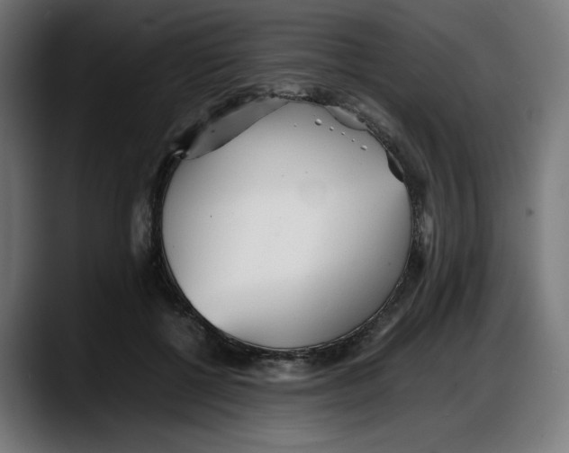 X0000087750552200705291035