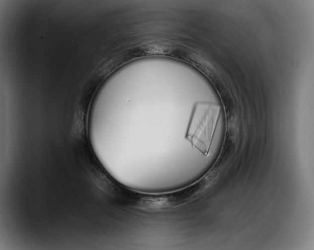 X0000087750554200705291035