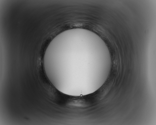 X0000087750555200705291035