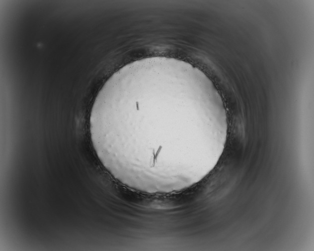 X0000087750557200705291036