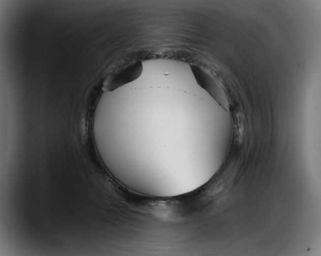 X0000087750558200705291036