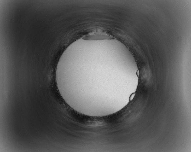 X0000087750559200705291036