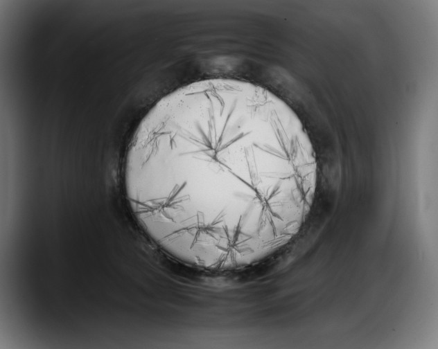 X0000087750561200705291036