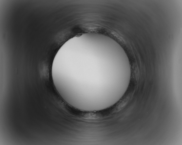 X0000087750562200705291036