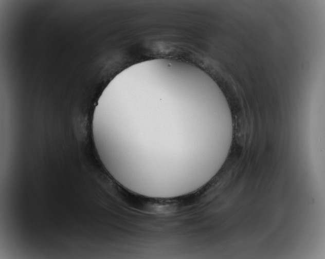 X0000087750563200705291036