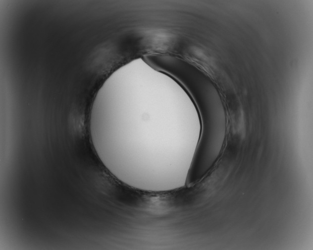 X0000087750564200705291036