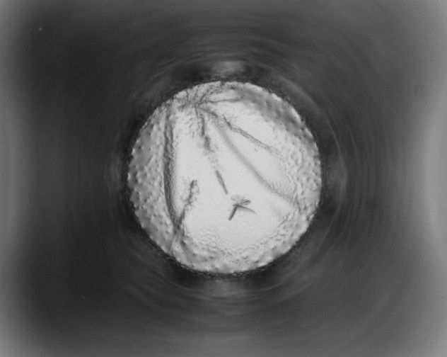 X0000087750565200705291036