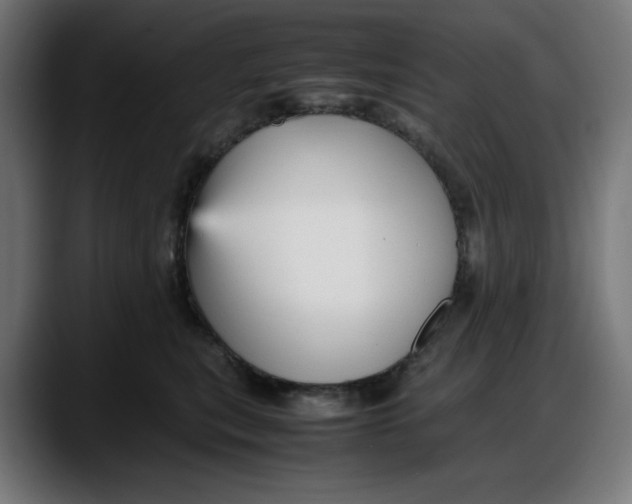 X0000087750567200705291036