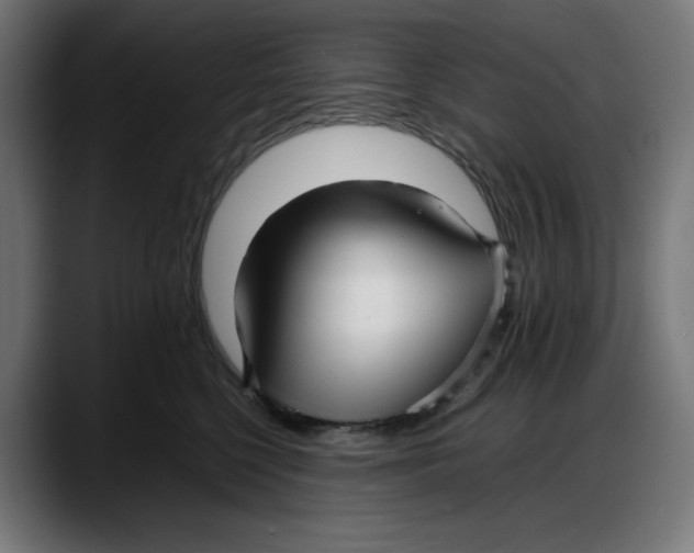 X0000087750568200705291036