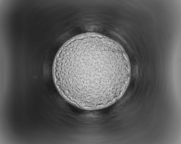 X0000087750569200705291036