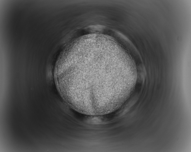 X0000087750573200705291036