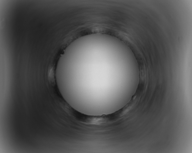 X0000087750575200705291036