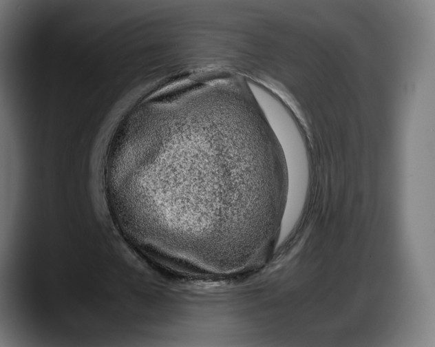 X0000087750577200705291035