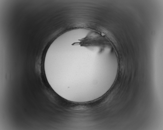 X0000087750578200705291035