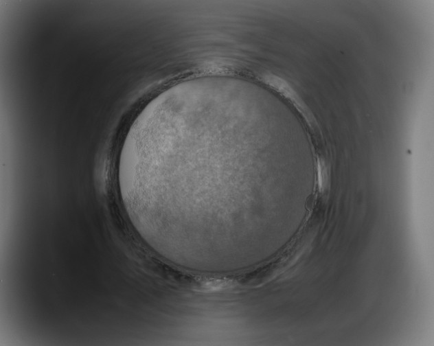 X0000087750579200705291035