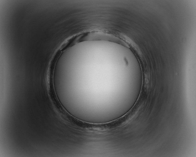 X0000087750580200705291035