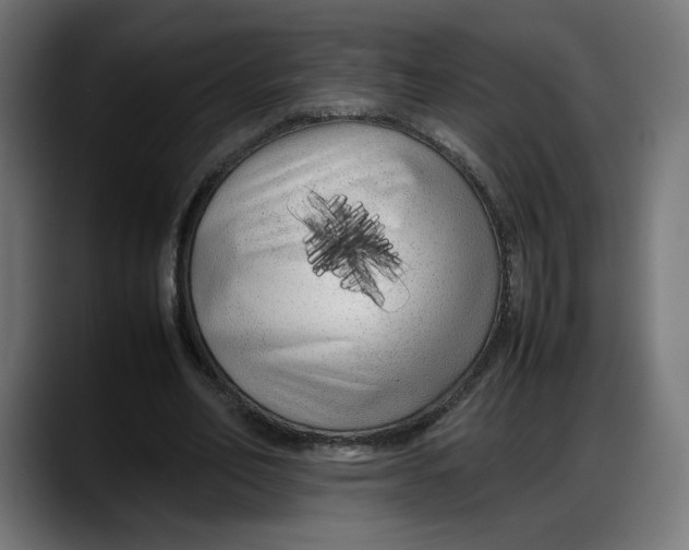 X0000087750582200705291035