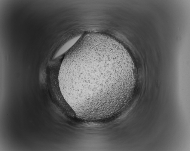 X0000087750585200705291035