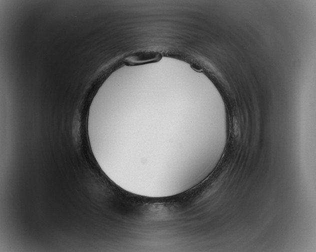 X0000087750588200705291035