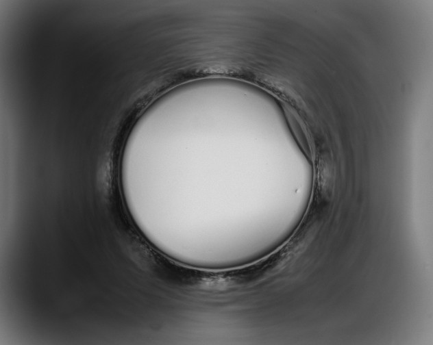 X0000087750591200705291035