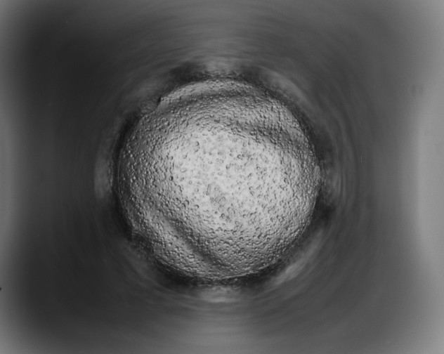 X0000087750593200705291035