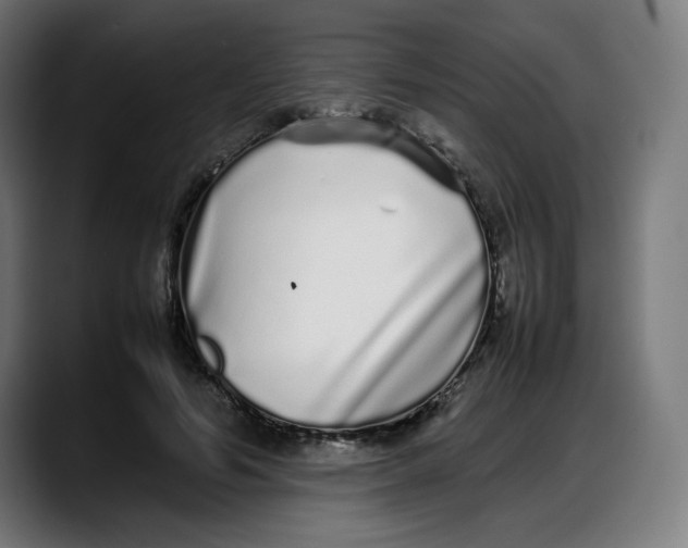 X0000087750594200705291035