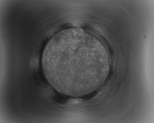 X0000087750595200705291035